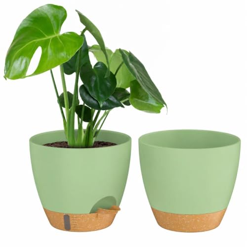 ZMTECH 8 Inch Plant Pots Set of 2 Planters for Indoor Plants Self Watering Pots Flower Pots with Drainage Holes and Saucer for Outdoor Plants(Green with Brown) - color: Green With Brown, size: 8 Inch