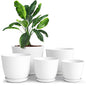 Plant Pots Indoor with Drainage, 5 Pack Multi-Size Planters Set, White - color: White, size: Pack of 5