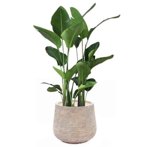 LuxenHome 17" Round Planters for Indoor Plants, Distressed Large Plant Pot