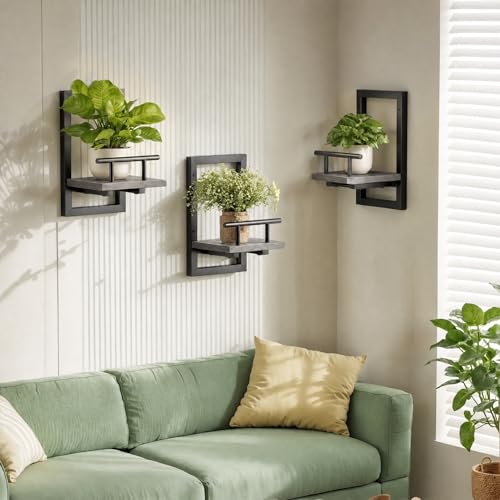 Sbosbo Floating Shelves for Wall Plant Shelf Indoor Wall Mounted Shelves - color: Grey
