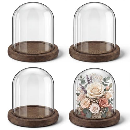 Suclain 4Pc Glass Dome Cloche with Wood Base, Brown, 4.3" X 3.8" - color: Brown, size: 4.3" X 3.8"