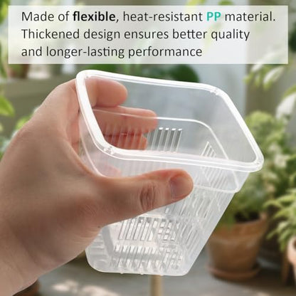 BTPLASTIK Clear Square Nursery Pots, 30 Packs 4 Inch Clear Hydroponics Growing Square Pots, Transparent Plastic Plant Pots for Seed Starting, Root Cutting - size: 4 Inch-30P