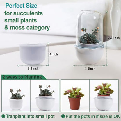 Smart Venus Fly Trap Terrarium Pot with Timer&Fan, Mini Plant Terrarium Kit