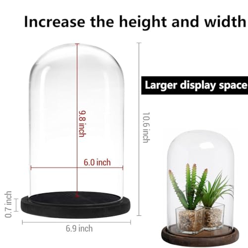 Glass Cloche Bell Jar with Wooden Base,Clear Glass Display Dome Cover,khaki