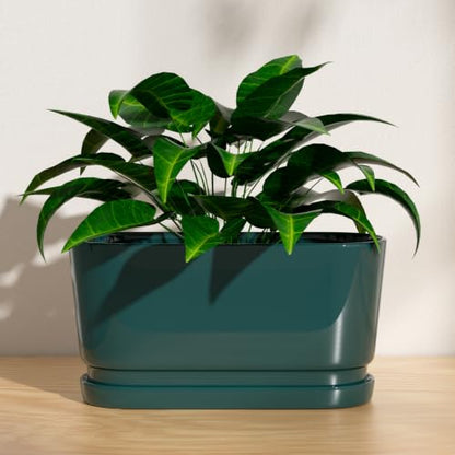 13" Rectangular Ceramic Planter with Drainage and Saucer, Green - color: Green, size: Large