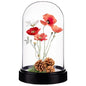 AHANDMAKER Acrylic Display Dome Case Cloche Globe, 3X4 Black Base Crystal Dome Bell Jar Display Case for Figures Flowers Plants Bouquets Photos Medals Tabletop Wedding Decorations
