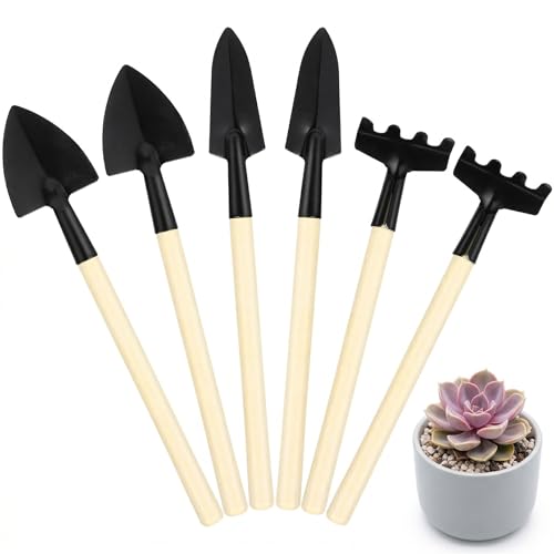 Housoutil Mini Gardening Tools, 6Pcs Small Garden Tools Set, Miniature Shovel Rake Trowel for Indoor Plants Pots Succulent Terrarium Bonsai, Portable Fairy Garden Accessories Hand Supplies Kit
