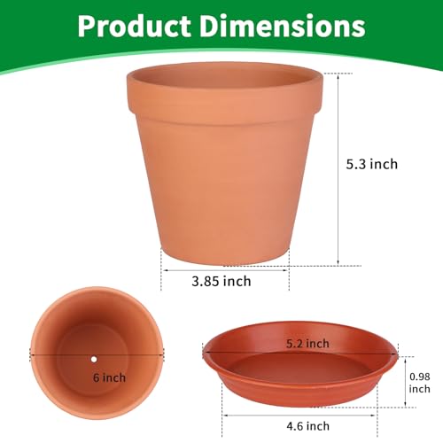 6 Pack 6 Inch Terracotta & Clay Pots with Saucer for Plants