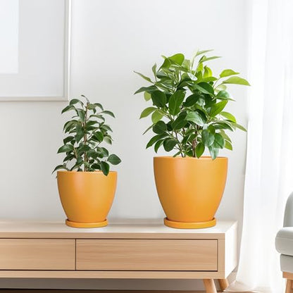Ceramic Plant Pots - 10 Inch 8 Inch 6 Inch Planters, Orange - color: Matte Orange