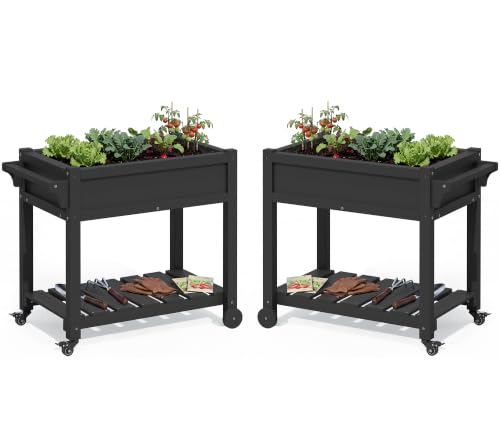 SERWALL Raised Garden Bed on Wheels with Storage Shelf Set of 2,Black - color: Black, size: 2 Pack