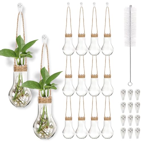 Baderke 12 Pack Hanging Plant Propagation Stations 3.9 Inch Plastic Propagation Vases with Hooks and Cleaning Brush Clear Window Wall Jars for Home, Office, Bathroom Decor, Gift for Plant Lovers