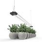 LED Grow Light Full Spectrum Light Linkable 5000K Daylight + 660nm Red Indoor Plant Lighting Fixture (4 FT) - size: 4FT (1-Pack)