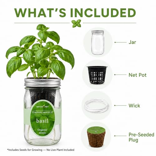 Hydroponic Growing Kit, Self-Watering Mason Jar Herb Garden Starter Kit Indoor, Windowsill Herb Garden, Grow Your Own Herbs from Organic Seeds (Basil) - color: Basil