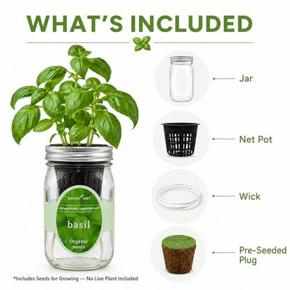 Hydroponic Growing Kit, Self-Watering Mason Jar Herb Garden Starter Kit Indoor, Windowsill Herb Garden, Grow Your Own Herbs from Organic Seeds (Basil) - color: Basil