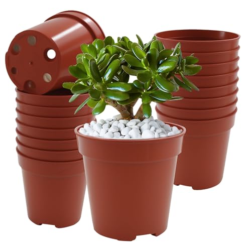 50 Pack 2 Inch Mini Plastic Plant Pots
