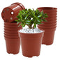 50 Pack 2 Inch Mini Plastic Plant Pots