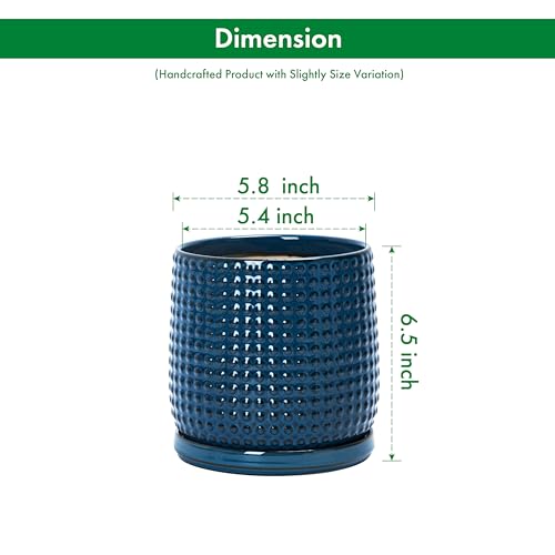 D'vine Dev 2-Pack Beaded Ceramic Pots, 6 in, Midnight Blue, 27-E-X-3 - color: Midnight Blue