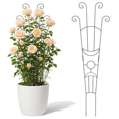 2 Pack Taller Plant Trellis for Climbing Potted Plants Indoor & Outdoor