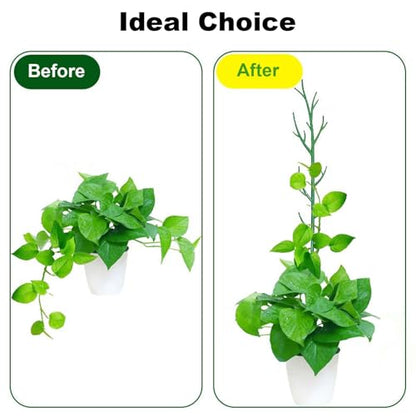 Stackable Monstera Plant Support Stakes,Plant Trellis for Indoor Climbing Plants, Tree Branch Shape Modular Plant Support Pole for Monstera, Pothos, Ivy - Green (52inch)