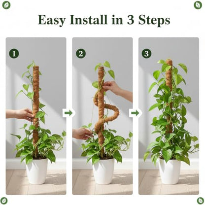 63" Moss Pole Monstera Plant Support Plant Stakes for Indoor Plants