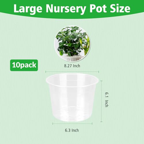 8 Inch Large Clear Nursery Pots with Drainage, 10 Pack Plastic Pots for Plants, Ideal Seedling Pots and Plant Pots for Vegetables, Orchids, Aloe, Indoor Outdoor Use (8 inch-10 Pack) - size: 8 inch