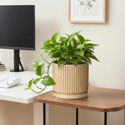 8 Inch Flower Pot, Ceramic Planters, Round Plant Pot, Beige - color: Beige, size: 8 Inch