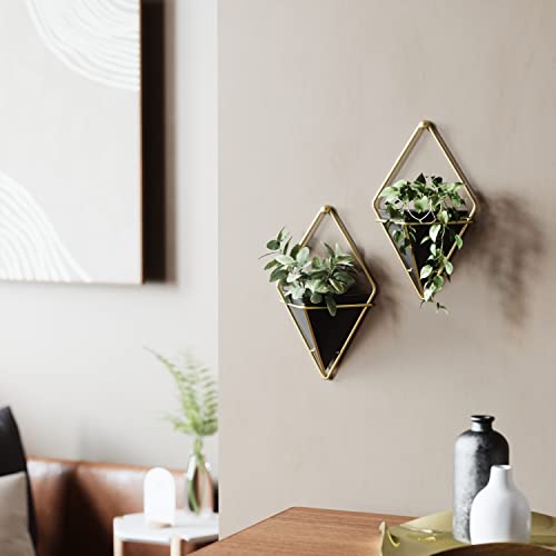 Umbra Trigg Hanging Planter for Small Plants, Set of 2, Small, Black/Brass - color: Black/Brass, size: Small