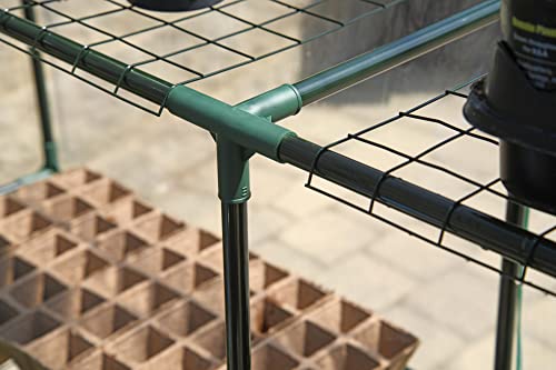 Miracle-Gro Walk-in Greenhouse, Removable Shelves, Transparent, 4'8" Square - size: 4'8" x 4'8" x 6'5" - Translucent