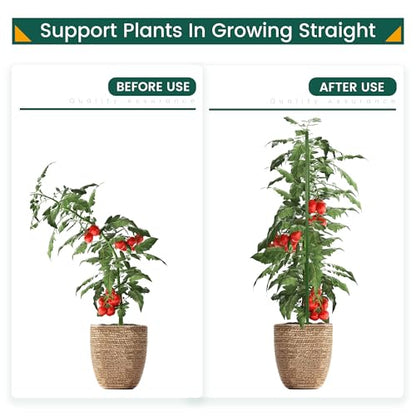 PROWORX 24 Inch 2 Ft Plant Support Garden Stakes for Outdoor Plants, 25 PCS - size: 2 Ft 25 Pack
