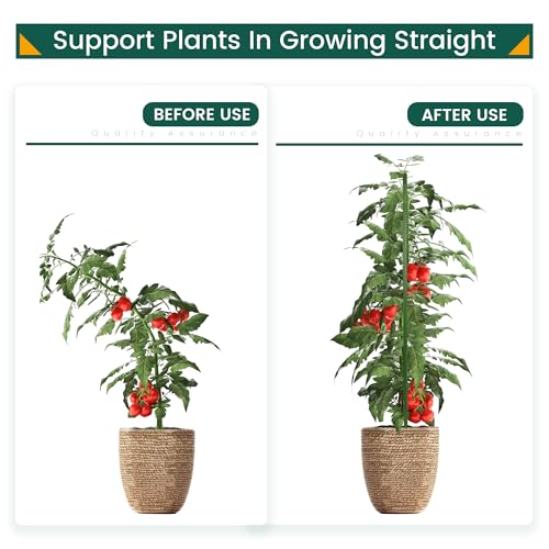 PROWORX 36 Inch 3 Ft Plant Support Garden Stakes for Outdoor Plants, 50 PCS - size: 3 Ft 50 Pack
