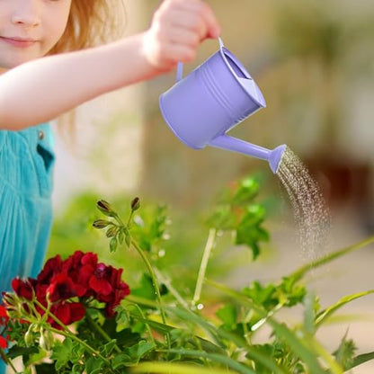 Small Metal Watering Can Set, Pink, 1.2L and 0.23L Garden Cans with Long Spout, Indoor Outdoor Plant Care (Purple) - color: Purple