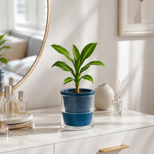 D'vine Dev Self-Watering Blue Terracotta Planter, 4 in, 3-Pack, 37-Z-A-4-T - color: Blue