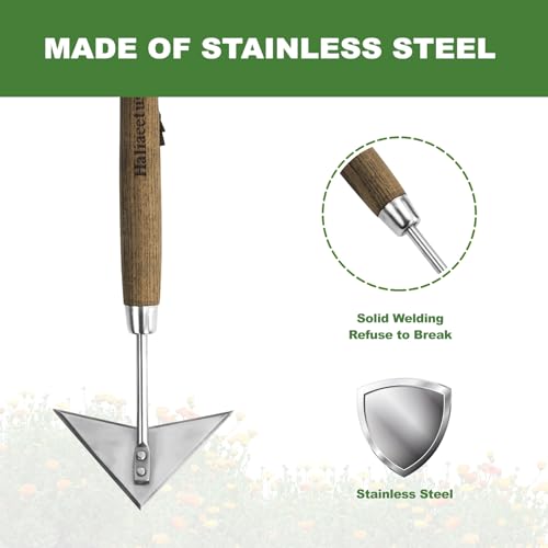 Haliaeetus Triangle Head Hoe, 15'' Scuffle Hoe for Weeding in Raised Bed - size: 15'' Triangle Head Hoe