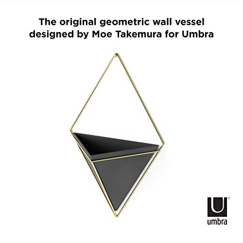 Umbra Trigg Wall Display, Large Geometric Planter Vessel, Black/Brass - color: Black/Brass, size: Large