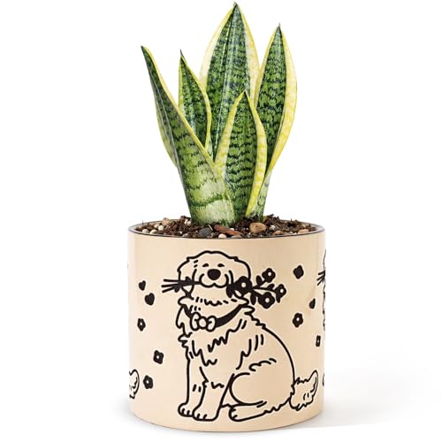 STHIE Ceramic Planters with Drainage Holes, 5 Inch Pots for Indoor Plants - color: Cy-goldflower02