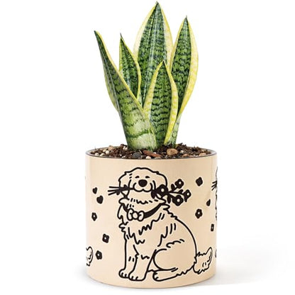 STHIE Ceramic Planters with Drainage Holes, 5 Inch Pots for Indoor Plants - color: Cy-goldflower02