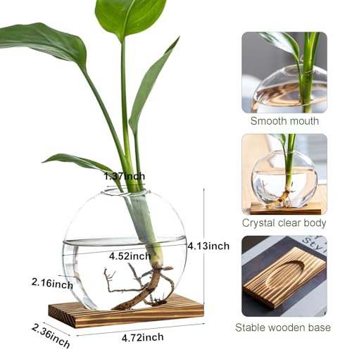 Propagation Vases for Plants - Glass Terrarium Planter with Wooden Stand, Small Desktop Oblate Hydroponic Propagation Vases for Modern Home & Office Decor (2)