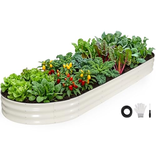 INNO STAGE Galvanized Raised Garden Bed Outdoor, 12x4x1FT Oval Planter Box - color: White, size: 12x4x1FT(1PC)