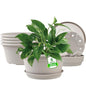 6 Pack 10 inch Plant Pot, Shallow Planters with Drainage Hole & Tray Saucer - color: Gray White, size: 10 Inch - 6Pack