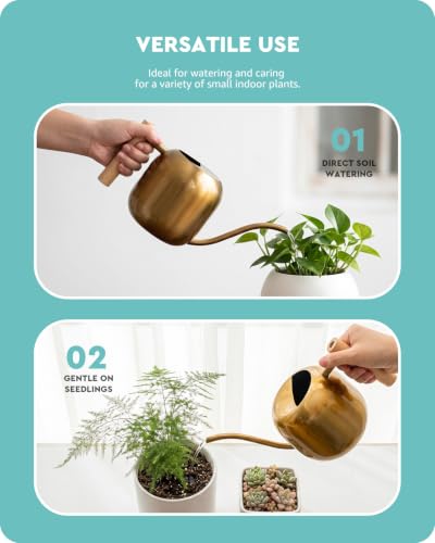 Baffect Watering Can Indoor Plants with Long Spout, 1.2L / 41oz (Glod) - color: Gold