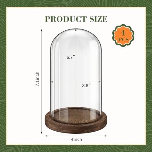 Suclain 4Pc Glass Dome Cloche with Wood Base, Brown, 6.7" X 3.8" - color: Brown, size: 6.7" X 3.8"