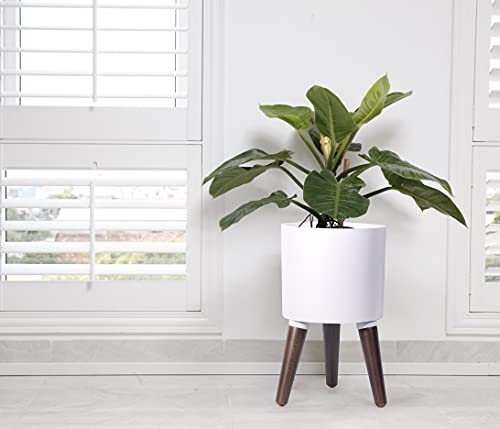 D'vine Dev 8 Inch Planter Pot with Wood Stand, White, 88-O-A-1 - color: Matte White, size: Small