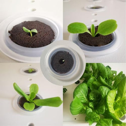 Hydroponic Grow Sponges Rooting Hydroponic Gardening Supplies