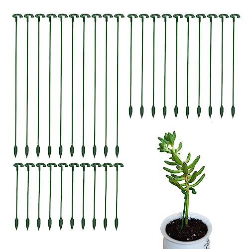 Pack of 30 Small Plant Stakes for Indoor Plants 3 Size - size: A Set(6.7/10.7/14.6 in)