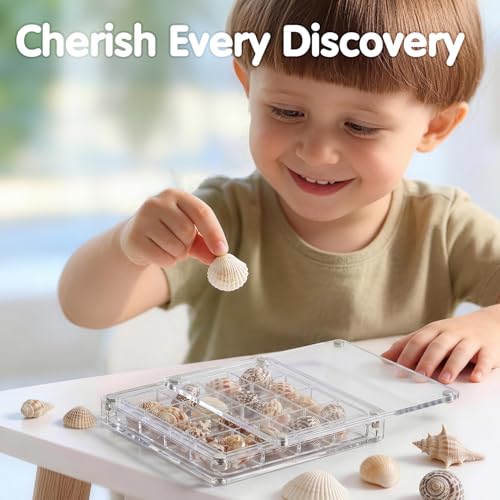 2 Pack Beach Sand Sifter with Seashell Bags & Display Case for Boys & Girls - color: Blue-orange
