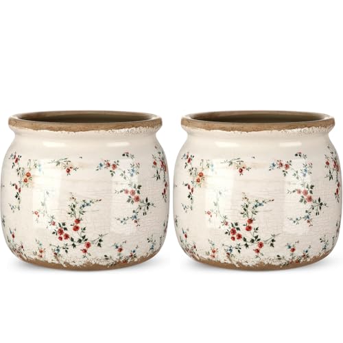 2 Pcs Vintage Planter Ceramic Plants Pot with Drainage Ice Crack Scroll Flower Vase Pot for Indoor Outdoor Plants Home Kitchen Decor Gifts(Rustic Rose,5.9") - size: 5.9", style: Rustic Rose