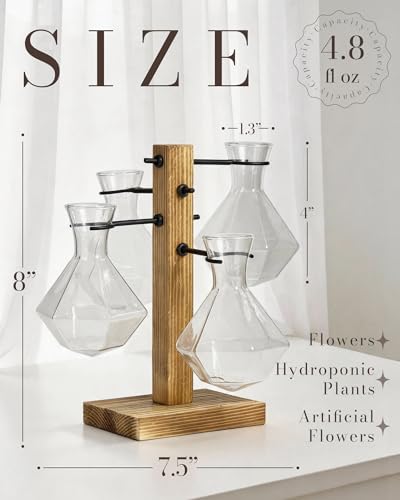 Plant Propagation Stations with Wood Stand, 4 Vases Diamond Shape - color: Diamond