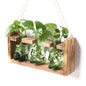 Plant Terrarium Propagation Stations Skull Planter Vase Skulls Decor - color: Green