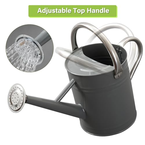 1 Gallon Metal Watering Can for Outdoor&Indoor Plants - color: Gray