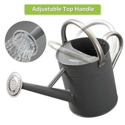 1 Gallon Metal Watering Can for Outdoor&Indoor Plants - color: Gray